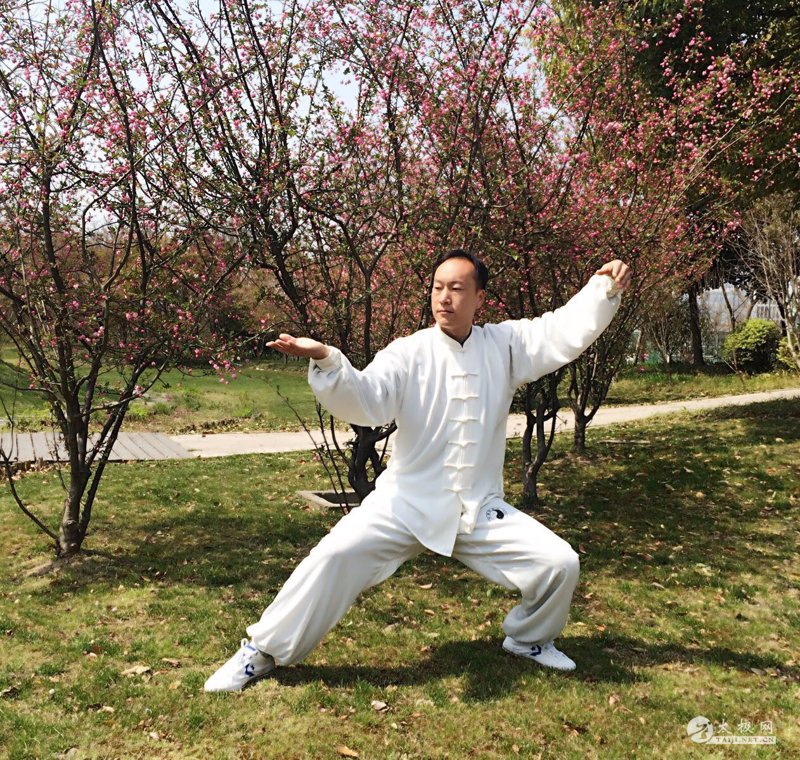 太极风潮：从入门到精通太极拳教程