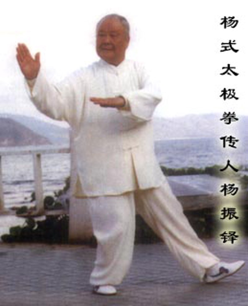 太极拳教程:古法与现代结合的艺术之旅
