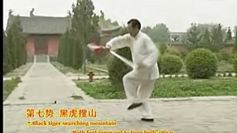 太极风潮：从入门到精通太极拳教程