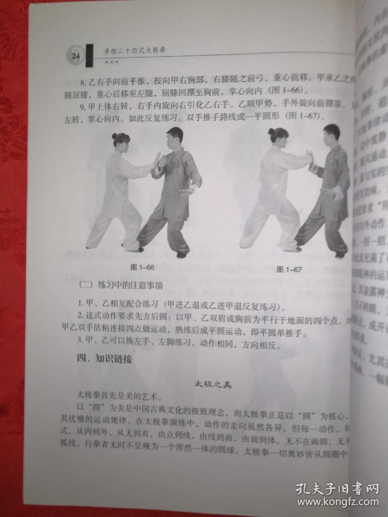 搜索太极:在数字浪潮中探秘传统武术的魅力